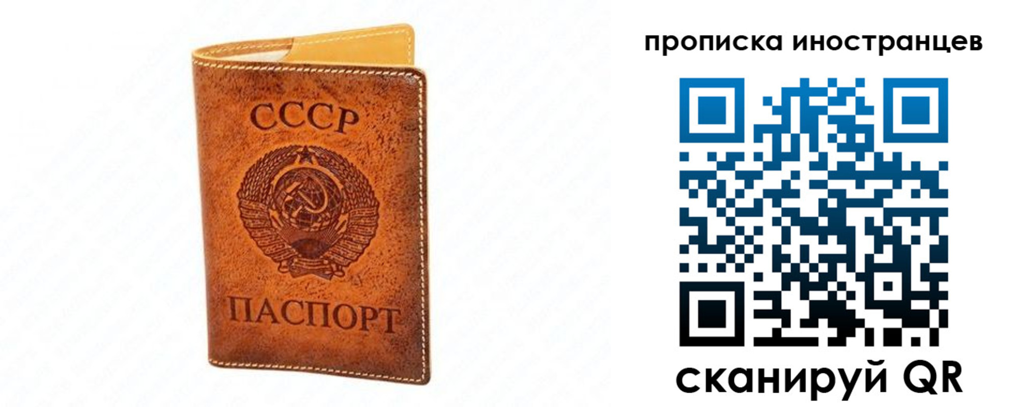 прописка для школы в Звенигороде
